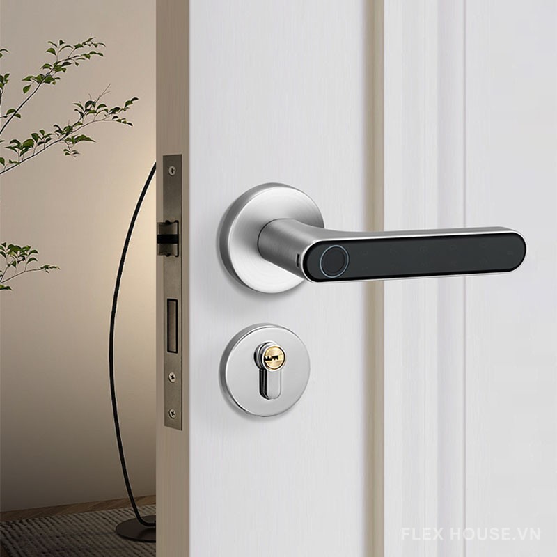 Khóa phân thể kết hợp vân tay trang trí cửa gỗ CD5206 1